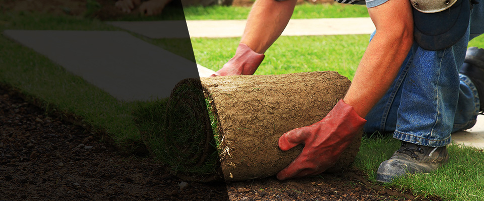 Sardis Landscapers